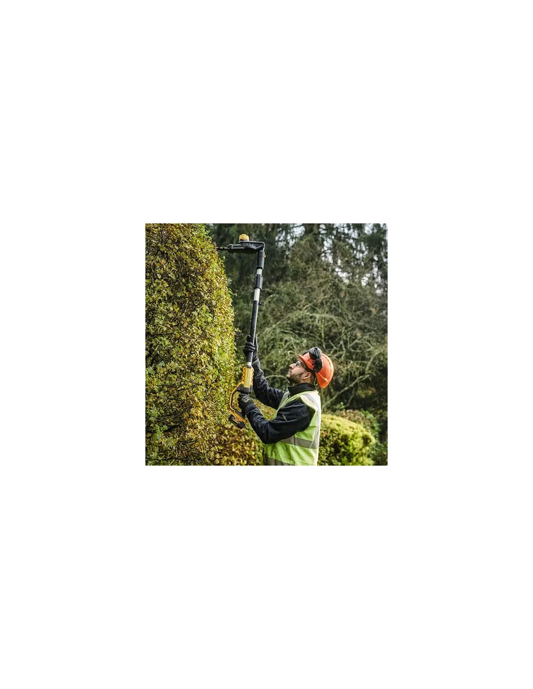 Taille-haies sur perche XR 18V 55cm/25mm (machine seule) | DCMPH566N-XJ - Dewalt